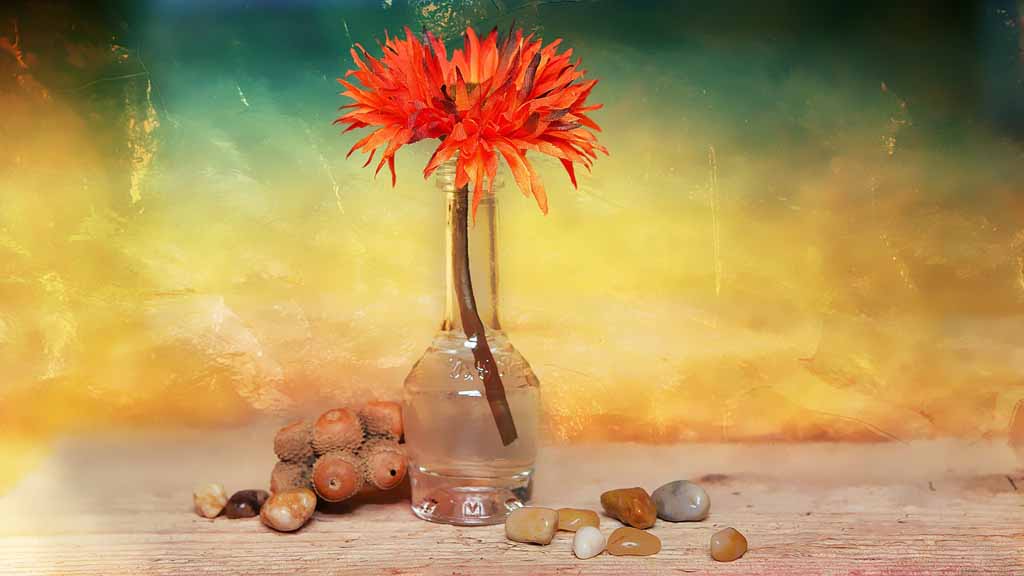 צילום: Pixabay