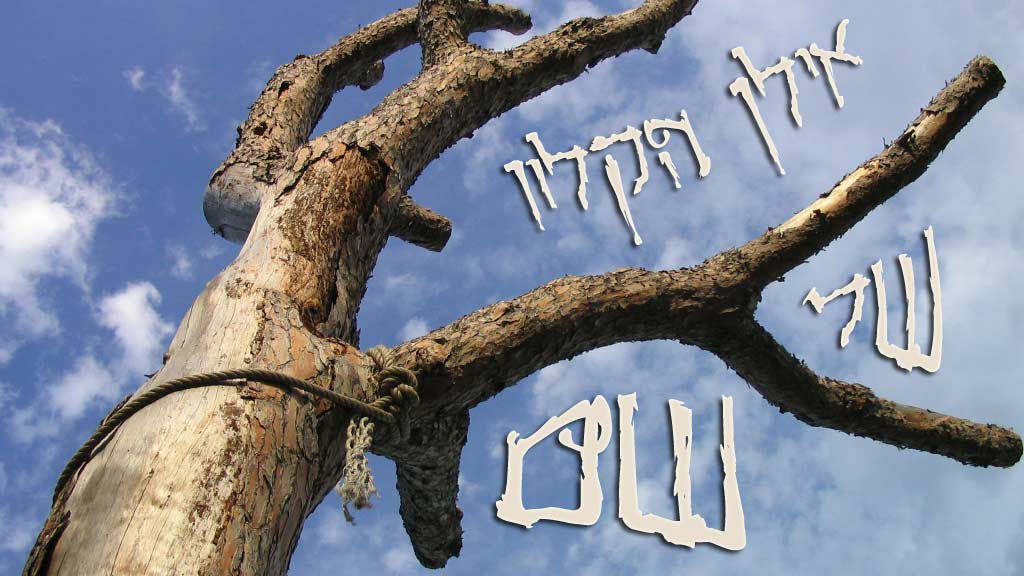 צילום: Pixabay