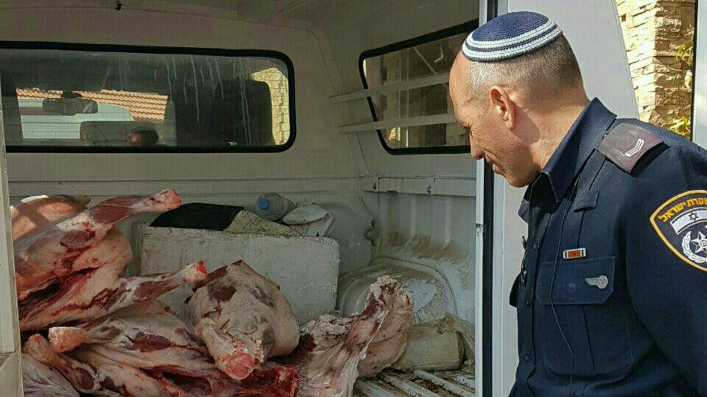 קרדיט: דוברות המשטרה (צפון)