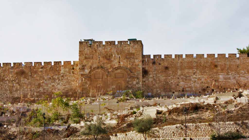 צילום: Pixabay