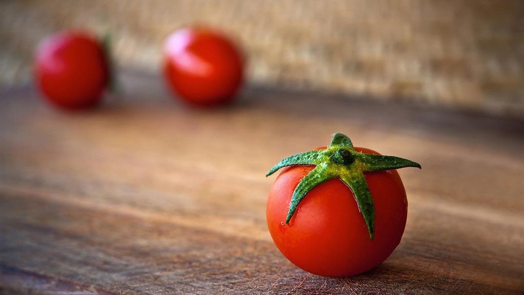 צילום: Pixabay