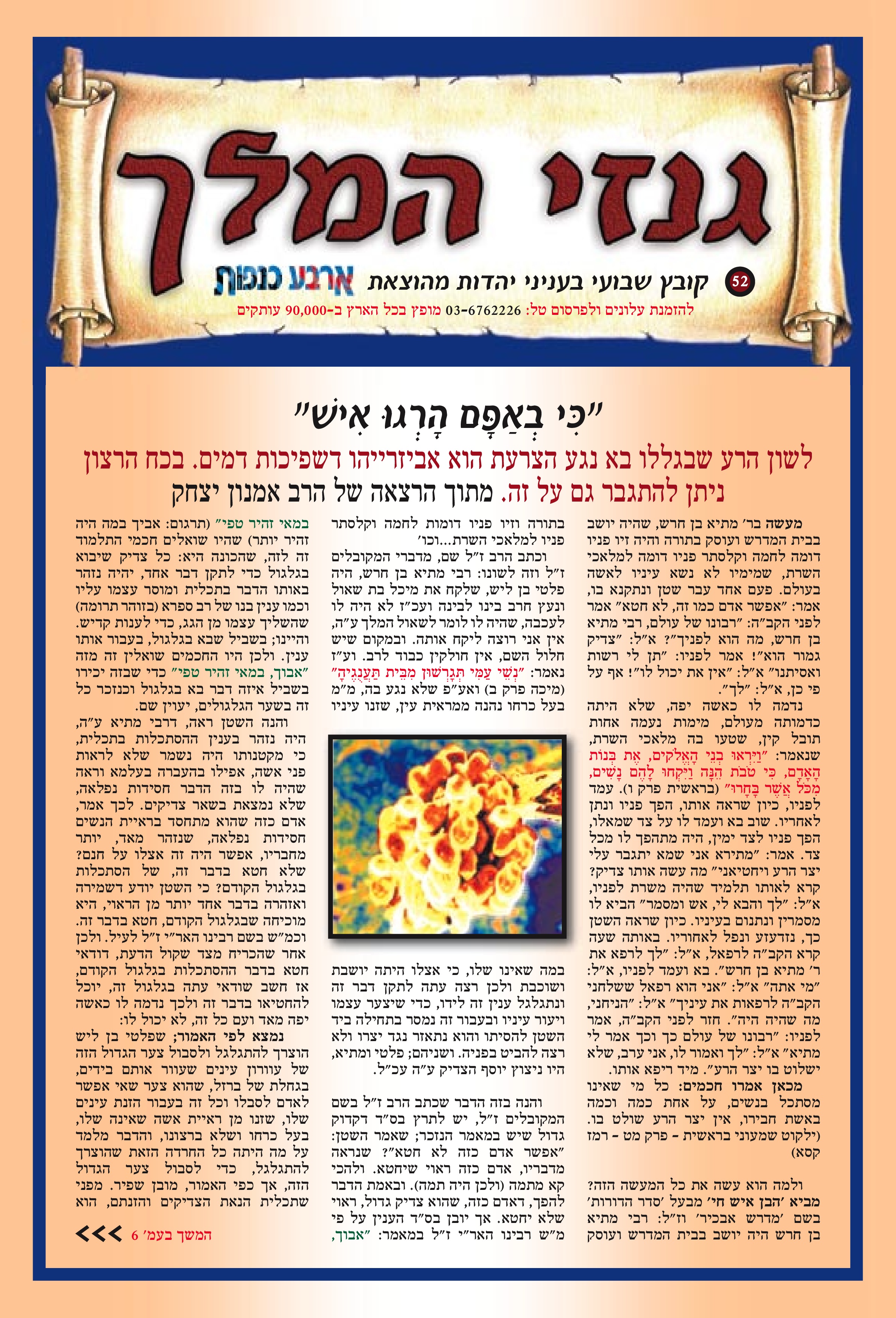 "כִּי בְאַפָּם הָרְגוּ אִישׁ"