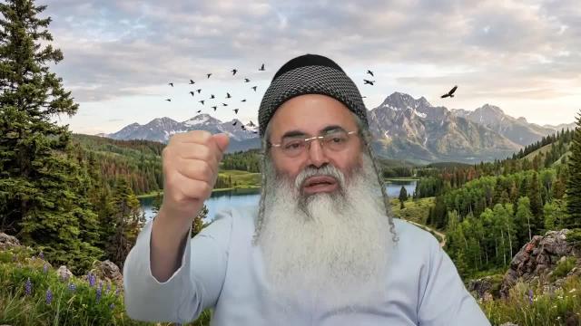 13 העיקרים - חלק ב'