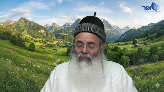 פרשת וזאת הברכה חלק ב'