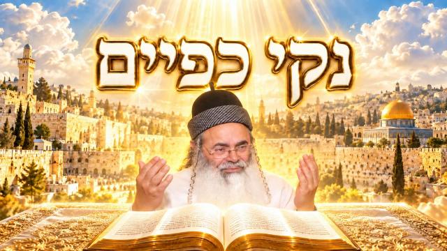 נקי כפים